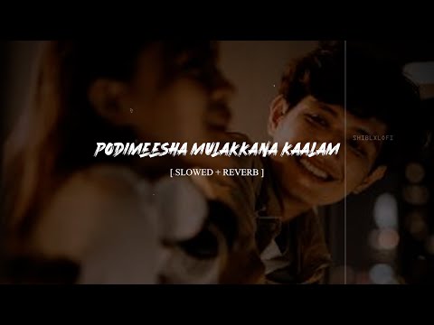 Podi Meesha Mulakkana Kaalam | Slowed Reverb | ShiblxLofi