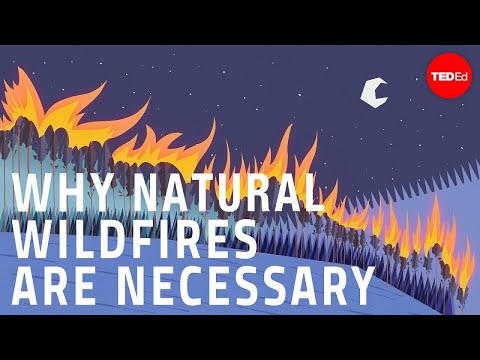 , title : 'Why certain naturally occurring wildfires are necessary - Jim Schulz'