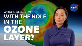 What&#39;s Going on with the Hole in the Ozone Layer? We Asked a NASA Expert