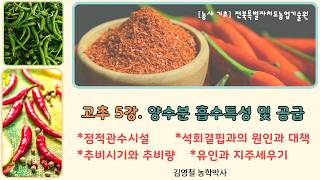 [고품질 고추 재배 기술 5강]  *양수분 흡수특성 및 공급 (점적관수, 추비,석회결핍과,유인과 지주)  #…