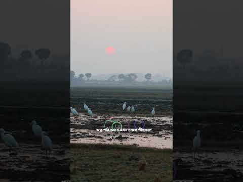 Good Morning Episode 327 | Chitta Media