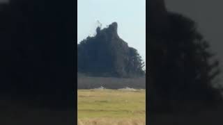 Download lagu Pasir menyembur dr bawah tanah dengan hebat nya mp3 Download lagu Pasir menyembur dr bawah tanah dengan hebat nya mp3