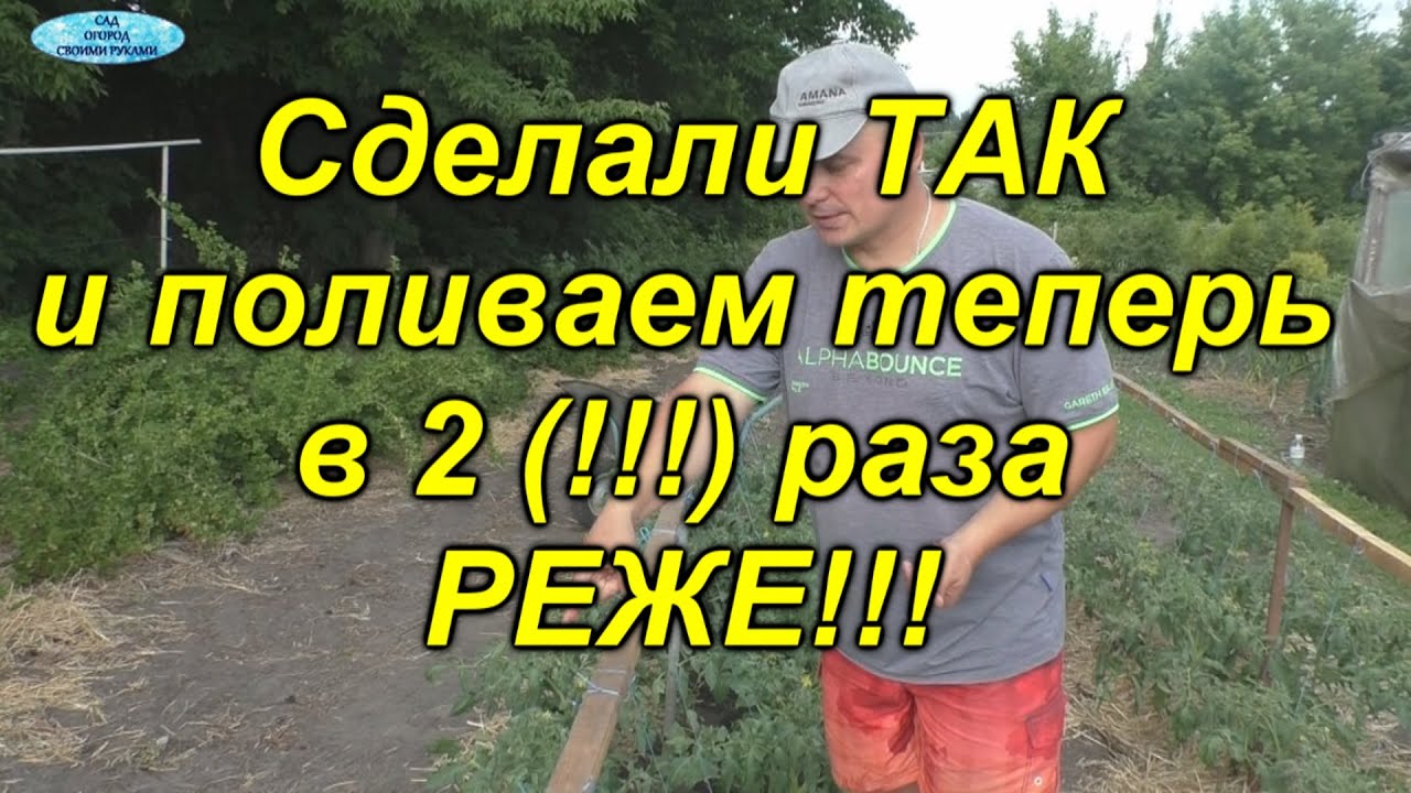 Теперь мы поливаем свои томаты в 2(два) раза реже!
