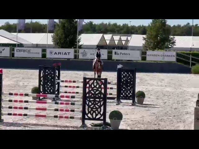 Show jumping 1.20m class movie Tokay van Argendael (Apardi x Orlando).