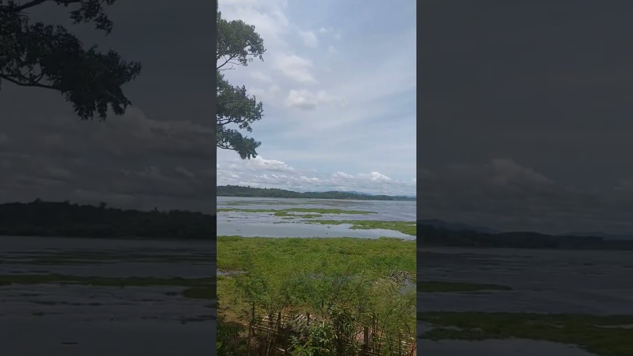 YouTube Short thumbnail