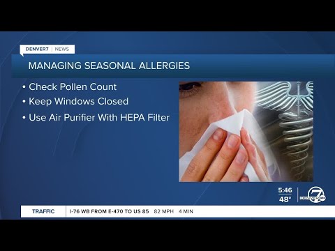 Pollen Count Denver