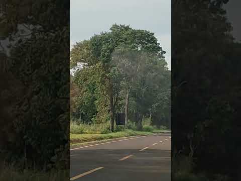 Voltando para casa de Altônia para São João PR 