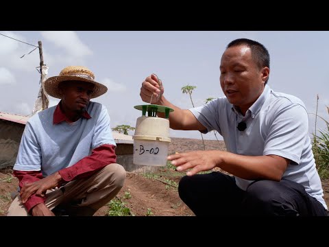 Cabo Verde boosts its resilience to climate change with the support of South-South Cooperation