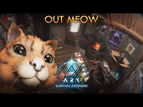 The Cat: Out Meow