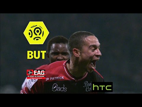 But Nill DE PAUW (70') / EA Guingamp - Paris Saint-Germain (2-1) -  / 2016-17