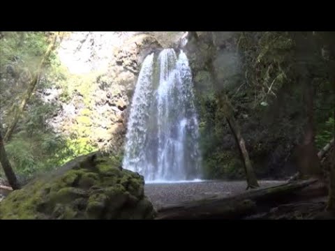 image-Where is Fall Creek Reservoir in Oregon?