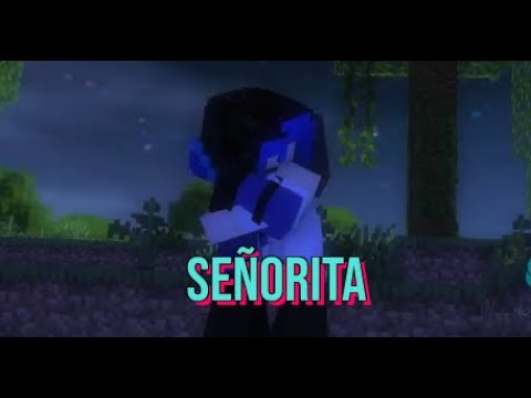Señorita - A Minecraft Music Video [AMV]