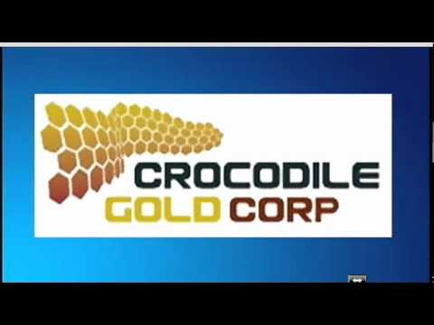 March 12 Trade What You See with Larry Pesavento - 2012