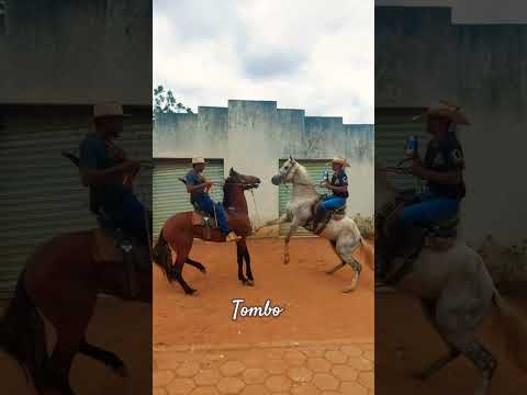 tombo #cavalo #cavalos #cavalgada