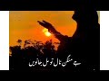 Punjabi Poetry WhatsApp Status TikTok Punjabi Poetry Punjabi Love Poetry Collection