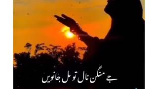 Punjabi Poetry WhatsApp Status // TikTok Punjabi P