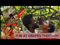 Grapes Thottam Vlog With Childhood Memories Have Fun