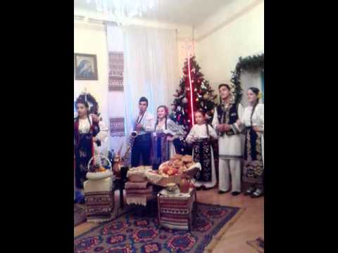 Eu mi-s floare banatana