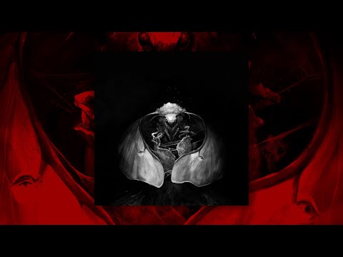 Video thumbnail for Имаго (Imago)