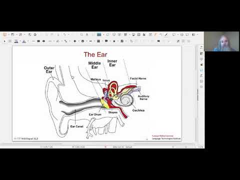 CMU Multilingual NLP 2020 (13): Speech
