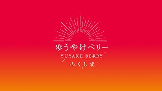 ゆうやけベリー　ブランドムービー