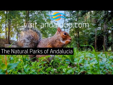 Andalucia’s Most Beautiful National & Natural Parks | Spain’s Hidden Wilderness