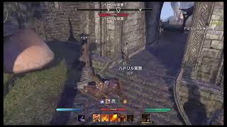 #18 ESOで暇つぶし