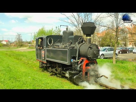 Plimbare cu Mocanita 764-243 CFI Steam Loco/Dampflok Trip Criscior-Brad - 21 April 2017