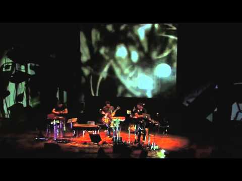 Origamibiro - Specimens (live)