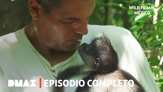 Thumbnail del capítulo