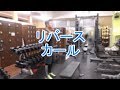 リバースカール(Reverse Curl)の基本フォームとやり方
