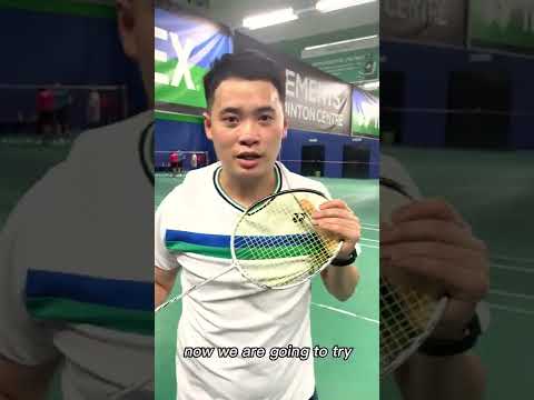 Yonex Astrox 100ZZ or Yonex Astrox 99 Pro