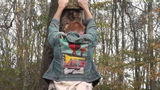 Rand Walter Colors Indiebandhub com