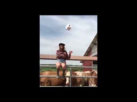 Landjugend Hohenmemmingen - Klopapierchallenge 2020