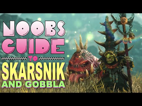 NOOB'S GUIDE to SKARSNIK