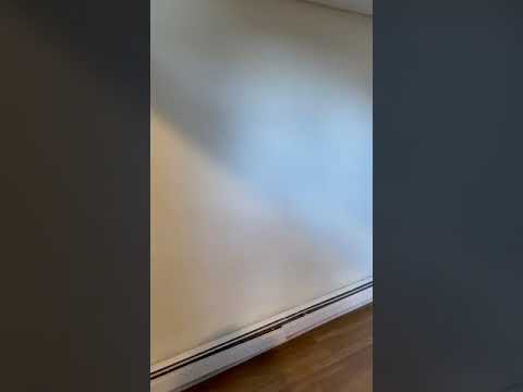 1144 Commonwealth #0A