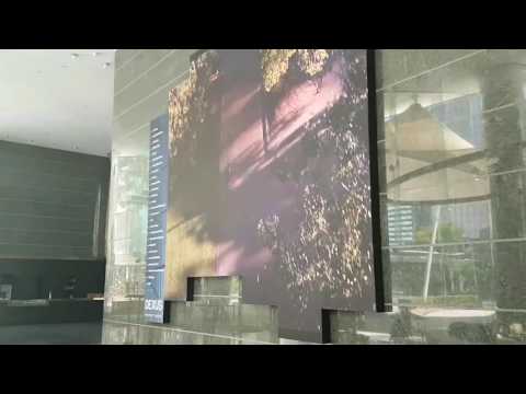Videos from Octopus LED Screens