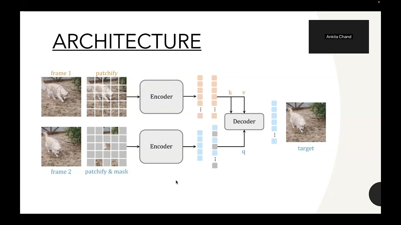 Siamese Masked Autoencoder