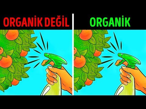 Organik Gıdaların Önemi Resim