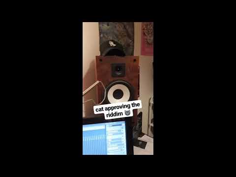 SampliFire - ID's from Instagram + cute cat