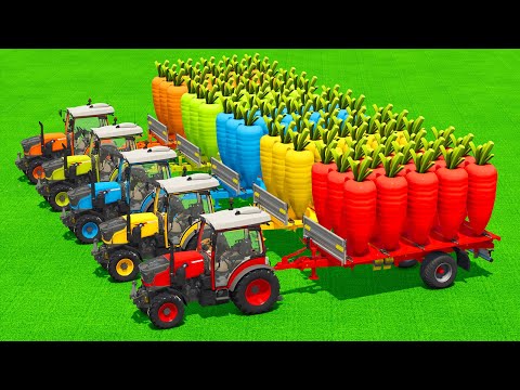 LOAD AND TRANSPORT GIANT CARROTS WITH FENDT TRACTORS & FORKLIFTS - Farming Simulator 25