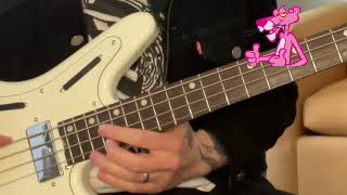 Video thumbnail for Cat Bass Groove // Nordstrand Acinonyx Short Scale Bass by Maxwell Pierce