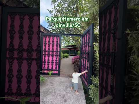 #joinville #parque #santacatarina #girassol #caminhoparaumavidamelhor