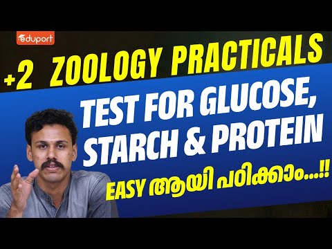Plus Two Zoology Practicals | Test for Glucose, Starch, Protein | Eduport Plus Two