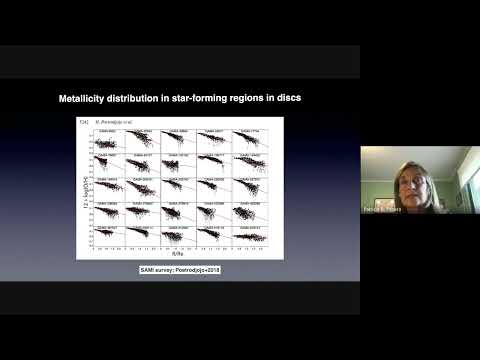 FoF 2022 - Patricia Tissera: Chemical evolution of galaxies