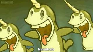 Narwhal Song