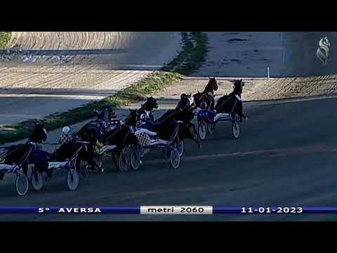 Aversa trotto 11 Gennaio 2023 - 5° corsa