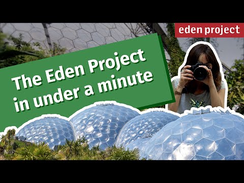 Exploring the Wonders of the Eden Project: A Nature Lover's Guide to Cornwall