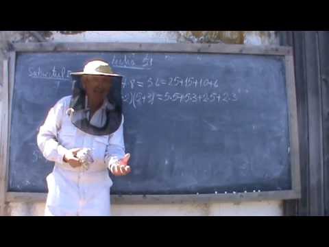 2. Bazele Matematicii: Lectia 51 - Rezolvam inca un subiect de bac 2/2