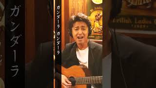 【令和世代に聴いてほしい昭和歌謡】ガンダーラ / ゴダイゴ【太田幸希】